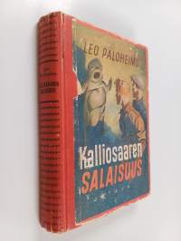 Kalliosaaren salaisuus : seikkailuromaani