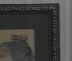 "Tyttö" akvarelli ei sign kehystetty 35x27 cm