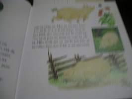 Ison tekstin ta-vu-tet-tu-ja suomalaisia satuja : Ihmeellinen kettu ja muita kertomuksia