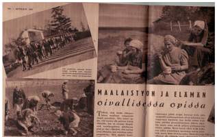 Kotiliesi  1-2 heinäkuu 1941 Perusteellisia ohjeita mm. lieden muuraukseen, talon perustusten tekoon. Linnuista ilona ja suruna, kesän töistä jne.