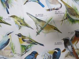 Laululintuja - Eläinmaailma-lehden keskiaukeamajuliste