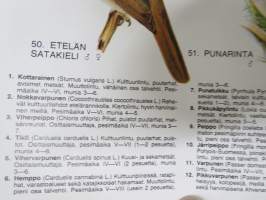 Laululintuja - Eläinmaailma-lehden keskiaukeamajuliste