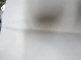 Laululintuja - Eläinmaailma-lehden keskiaukeamajuliste