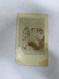 Tyyni-Rauha -valokuva, ferrotyyppi / ferrotype