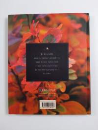 Surun sisar on lohdutus