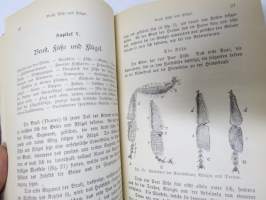 Die Honigbiene, ihre Naturgeschichte, Anatomie &amp; Physiologie &amp; Die Kunstwaben: Deren Nutzen und Anwendung Beim Bienenzuchtbetrieb... -yhteissidos