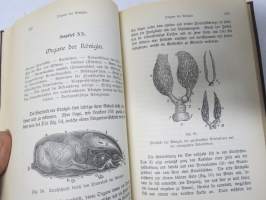 Die Honigbiene, ihre Naturgeschichte, Anatomie &amp; Physiologie &amp; Die Kunstwaben: Deren Nutzen und Anwendung Beim Bienenzuchtbetrieb... -yhteissidos