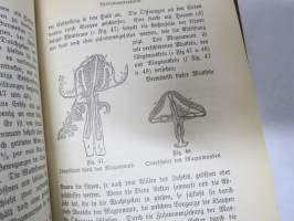 Die Honigbiene, ihre Naturgeschichte, Anatomie &amp; Physiologie &amp; Die Kunstwaben: Deren Nutzen und Anwendung Beim Bienenzuchtbetrieb... -yhteissidos