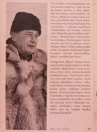 Poro.  ( Poronhoito, lappi, arktiset alueet )