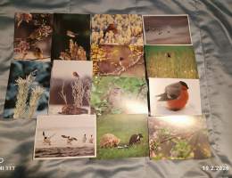 Luontokortteja kulkemattomia ** 95 kpl. Suuri osa Luonto-liiton julkaisuja