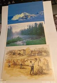 Luontokortteja kulkemattomia ** 95 kpl. Suuri osa Luonto-liiton julkaisuja