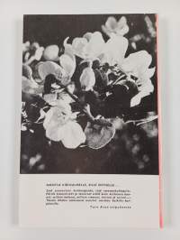 Saparo-Tuure : Ture Aran punamustasta muistojen kirjasta