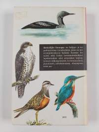 Retkeilijän lintuopas