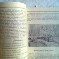 Kotikyläni Kostamus