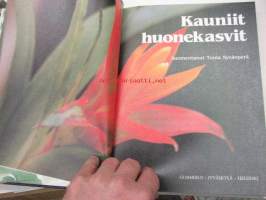 Kauniit Huonekasvit
