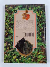 Elävän ravinnon ruokaohjeita