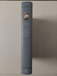 Jänis jolla on meripihkan väriset silmät