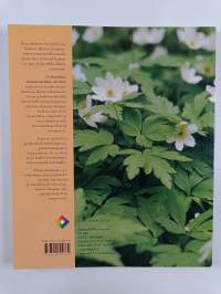 Vaihtaahan kameleonttikin väriään : kosmetiikan mahdollisuudet ja rajat