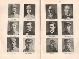 Kiikka kapina-aikana ja Kiikan suojeluskunnan vaiheet 1917-1927