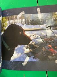 Perseilyn käsikirja -koirakirja