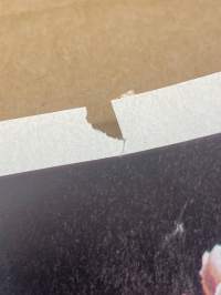 Me Naiset 1978 nr 8 (23.2.), Pirjo ja Bjärne Häggman, Melissa Gilbert, Maija Isosaari, Eeva Kilpi