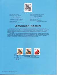 USA - Filatelia - 10 kpl ensipäiväleimattuja (FDC) valmiita kokoelmasivuja, joissa julkaisutiedot postimerkeistä. 1995.