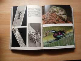 Maapallon hyönteiskuvasto