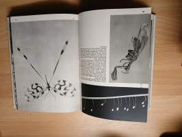 Maapallon hyönteiskuvasto