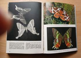 Maapallon hyönteiskuvasto