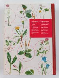 Koulu- ja retkeilykasvio