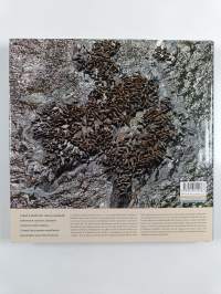 Maailman kaunein saaristo