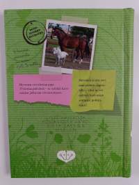 Tätä et tiennyt hevosista