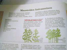 Mauste- ja tuoksuyrtit