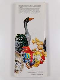 Hanhiemon iloinen lipas