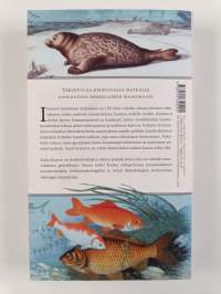 Kutistuva turska ja muita evoluution ihmeitä