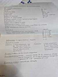 Bertone Lamborghini Bravo genova motor show brochure 10/74.