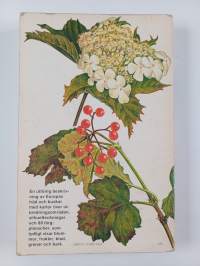 Träd och buskar i Europa : en fälthandbok