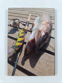 ERÄ vuosikirja : Viehevuosi 2012