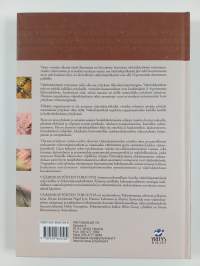 Väärinkäytösten torjunta : käytännön opas