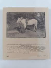 Punikkityttö ja jääkäriupseeri