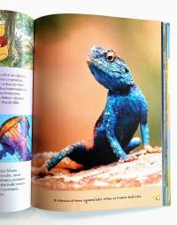 Nalle Puhin Tietokirjasto: Maapallo