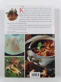 Parhaat ruokasienet ja maukkaimmat sieniherkut