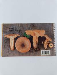 20 Hyvää ruokasientä