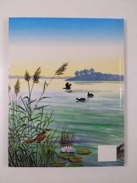 Ankeriaiden uskomaton vaellus