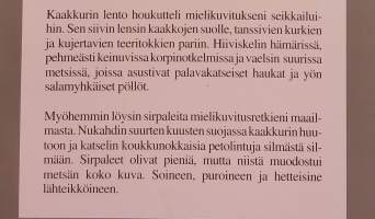 Kaakkurin huuto.  ( Luontokirja, linnut, luontovalokuvaus )