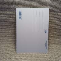 Postikortti "Villit viikarit"