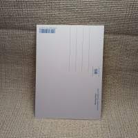 Postikortti "Neulaspolkuja" KT282