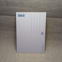 Postikortti "Ruiskukkia ja tähkiä" KT160