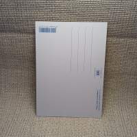 Postikortti "Hmm, miten se menikään?" KT170