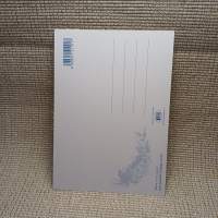 Postikortti "Näin on marjat!" KT332